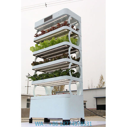 Smart Home Ac - Systemy hydroponiczne do uprawy w domu,