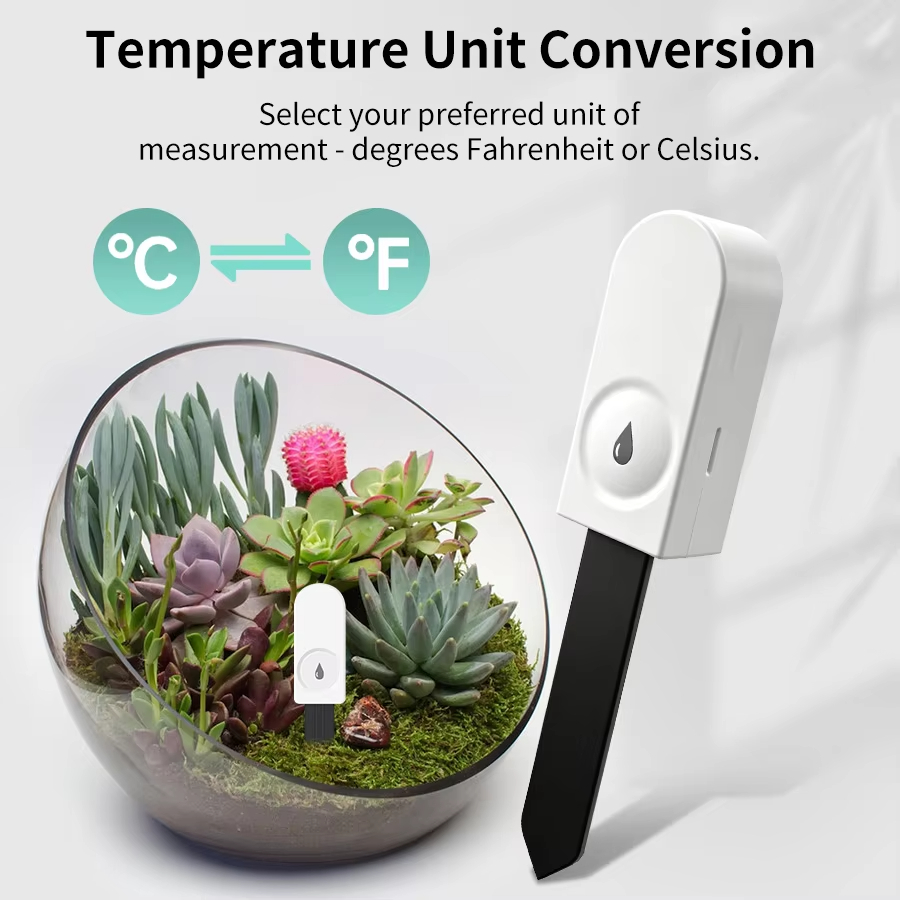 Monitor stanu roślin Zigbee 3. – Smart Home News recenzja i cena
